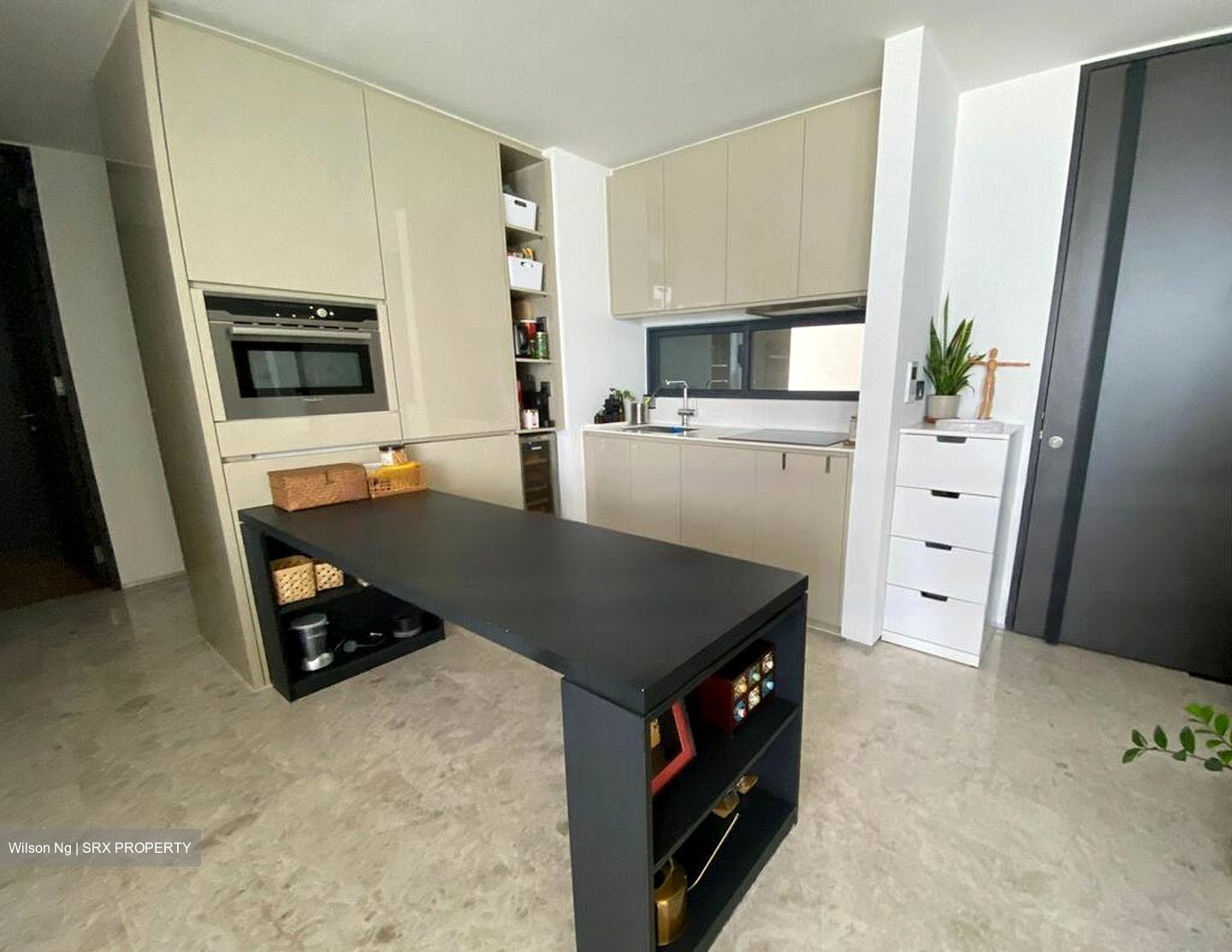 Skysuites@Anson (D2), Apartment #620932631